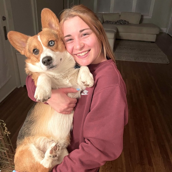 Meet your Posher, Sam - Picture 2 of 4